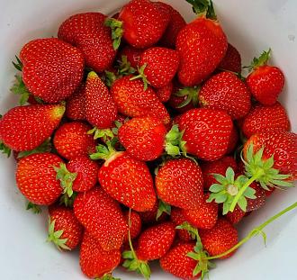 Click image for larger version

Name:	Strawbs.jpg
Views:	221
Size:	450.1 KB
ID:	2551855