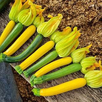 Click image for larger version

Name:	Courgettes.jpg
Views:	174
Size:	537.7 KB
ID:	2551857