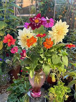 Click image for larger version

Name:	Pnut-Flowers.jpg
Views:	161
Size:	424.2 KB
ID:	2553143