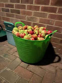 Click image for larger version

Name:	apples.jpg
Views:	41
Size:	987.7 KB
ID:	2585298