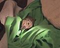 Click image for larger version

Name:	hedgehog.jpg
Views:	140
Size:	13.4 KB
ID:	2317860