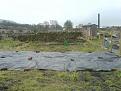 Click image for larger version

Name:	Allotment 5a.jpg
Views:	224
Size:	66.3 KB
ID:	2318491