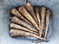 Click image for larger version

Name:	Parsnips 2019.jpg
Views:	164
Size:	602.9 KB
ID:	2385888