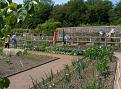 Click image for larger version

Name:	Veg patch.jpg
Views:	289
Size:	64.9 KB
ID:	2387890