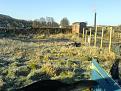 Click image for larger version

Name:	The Wicks Allotment.jpg
Views:	356
Size:	85.1 KB
ID:	2388093