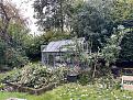 Big pile of cuttings to sort out