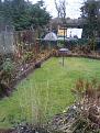 I watched two trying to get up to the feeders this morning they convey the  tree behind and left of compost he feeders not sure if it can be seen  they also climbed the fence evidently to see if they could jump the space between